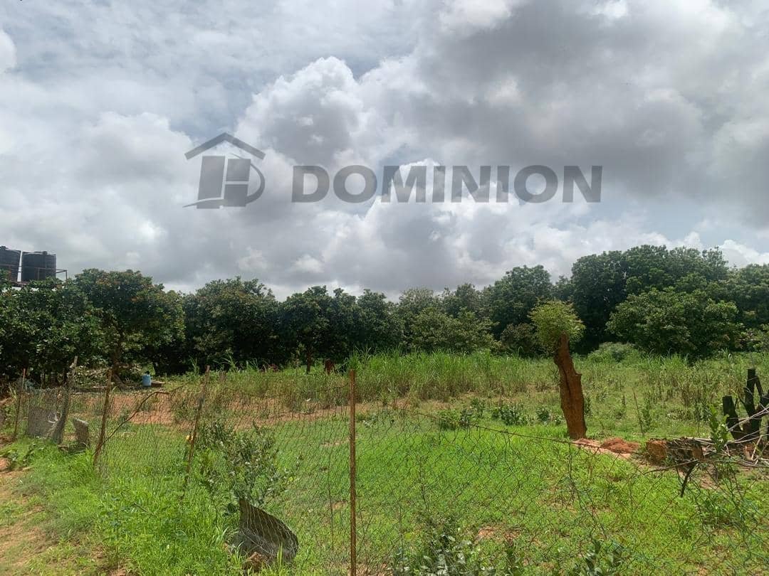 land property in lamin