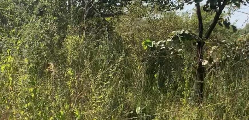 Prime Piece Of Land for  Sale In Nyofelleh Medina