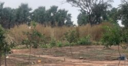 Prime land for Sale in Sanyang