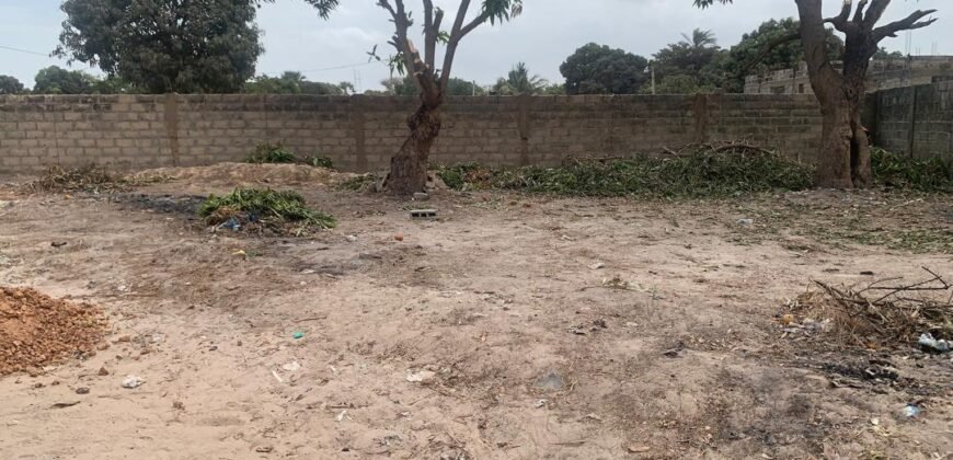 Land for Sale in Brufut, Gambia | Prime Plots & Investment Opportunities